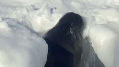 音乐短片 - 西班牙盲人作曲家华金·罗德里戈的吉他协奏曲:“绅士幻想曲”