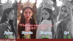 T-ara,智妍(T-ara),李居丽(T-ara),朴孝敏(T-ara),咸慇晶(T-ara) - What's My Name