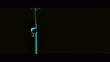 Yuvanshankar Raja,Venkat Prabhu - Muttathu