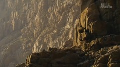 音乐短片 - 沙漠中的家园