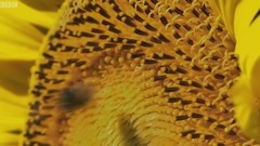 音乐短片 - 夏日的安娜小笺