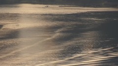 音乐短片 - “西方近代音乐之父”巴赫:d小调第二大提琴组曲,BWV1008