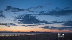 音乐短片 - Realta