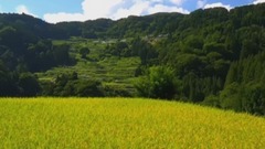 音乐短片 - 故乡情