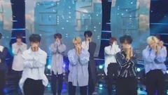 Seventeen - 不想哭(Don't Wanna Cry)