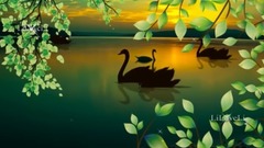 音乐短片 - Still Water