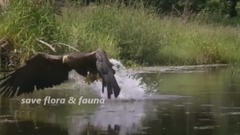 音乐短片 - The Sound Of Silence