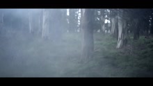 Animales (Videoclip)
