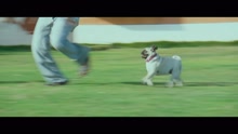 D. Imman,Benny Dayal,Sririta Jensen - Nacka Romba Nacka (From 