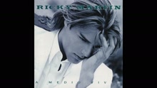 Ricky Martin - Somos La Semilla (audio)