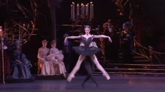 欧美群星 - Swan Lake –(The Royal Ballet)