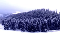 欧美群星 - Winterfell