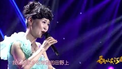 群星 - 在希望的田野上