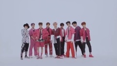 NCT,NCT 127 - Cherry bomb镜面舞蹈翻转版