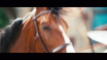 D. Imman,Krishnaraj - Aey Vaayaadi (From 