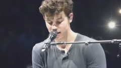 Shawn Mendes - Life Of The Party
