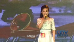 华语群星 - 我爱你中国 & 红梅赞