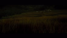 D. Imman,Magizhini Manimaaran - Soi Soi (From 