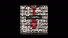 Agapornis - Ciudad Mágica (Pseudo Video)