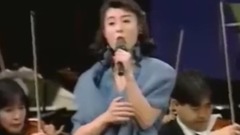 河合奈保子 - ハーフムーン・セレナーデ 月半小夜曲