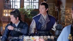 赵丽颖 - 电视剧<楚乔传>片段:楚乔小野猫引两人哄抢!林更新醋意横生
