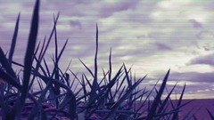 欧美群星 - Глаза
