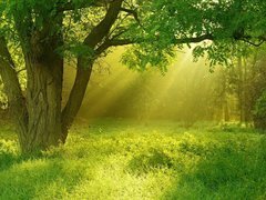 风景,轻音乐,乐动城市 - Hope 心灵的遨游