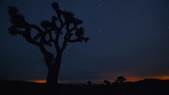 音乐短片 - 莫扎特:D大调嬉游曲 K136