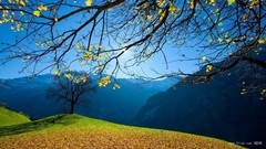 风景,音乐短片,轻音乐,乐动城市 - 贝克山旖旎风光