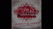 Un Beso Al Viento (Cover Audio)
