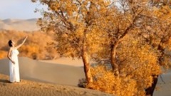 音乐短片 - 我的楼兰