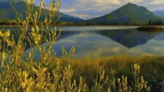 音乐短片 - 隔河相抱