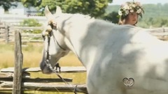 音乐短片 - Gardenia