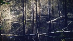 音乐短片 - Dream