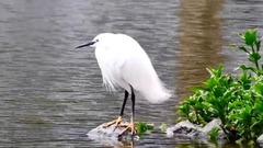 音乐短片 - 对你怀念特别多