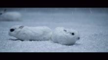 Christophe Willem - L'été en hiver (Official Music Video)