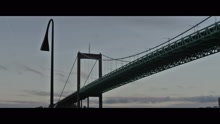 Aste - Himalaja
