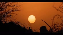 A.R. Rahman,Srinivas - Chale Chalo (From 