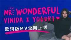 万妮达Vinida - Mr. Wonderful