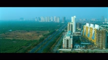 Pyaari Pyaari (From 