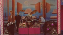 Herwig Mitteregger - Blinder Passagier (Na siehste! 03.09.1987) (VOD)