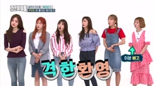 Apink - Apink - No No No+Mr.Chu+FIVE 2倍速舞