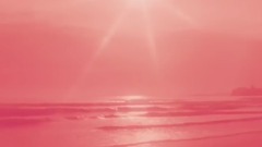 Calvin Harris - 卡受新专