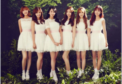 Apink,舞蹈视频 - Five