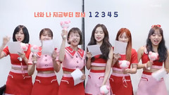 Apink - FIVE 应援教学版