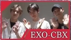 EXO,Chen(EXO),边伯贤(EXO),XIUMIN(EXO),EXO-CBX - EXO-CBX日本Showcase记录影像