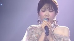 韩国群星 - Like the wind