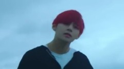 V(防弹少年团) - 花样年华,我的七月