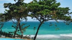 音乐短片 - 他哪里走 我哪里跟