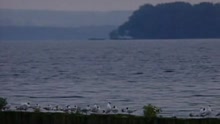 Nach Sonnenaufgang (VOD)